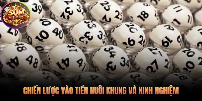 Kinh nghiệm quản lý vốn và chiến thuật nuôi khung